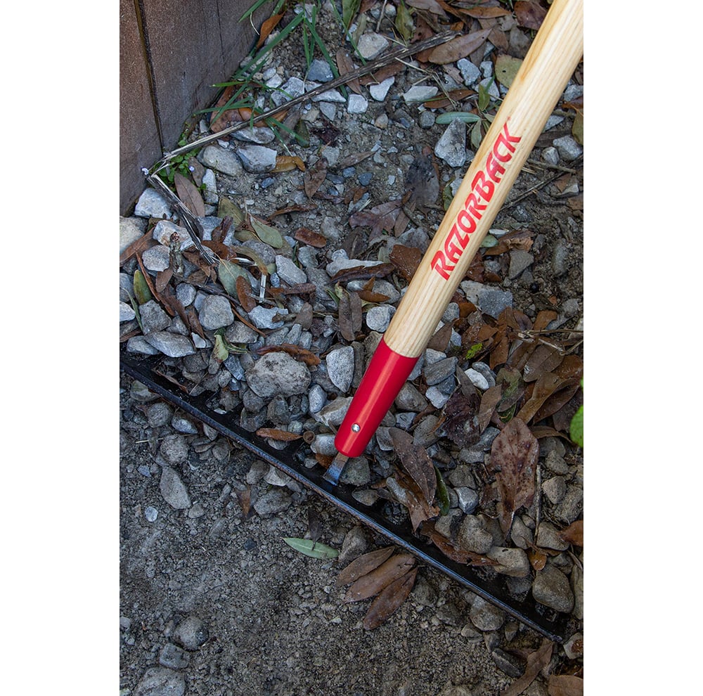 16 Tine Level Head Rake, Forged, with Wood Handle | Home by AMES