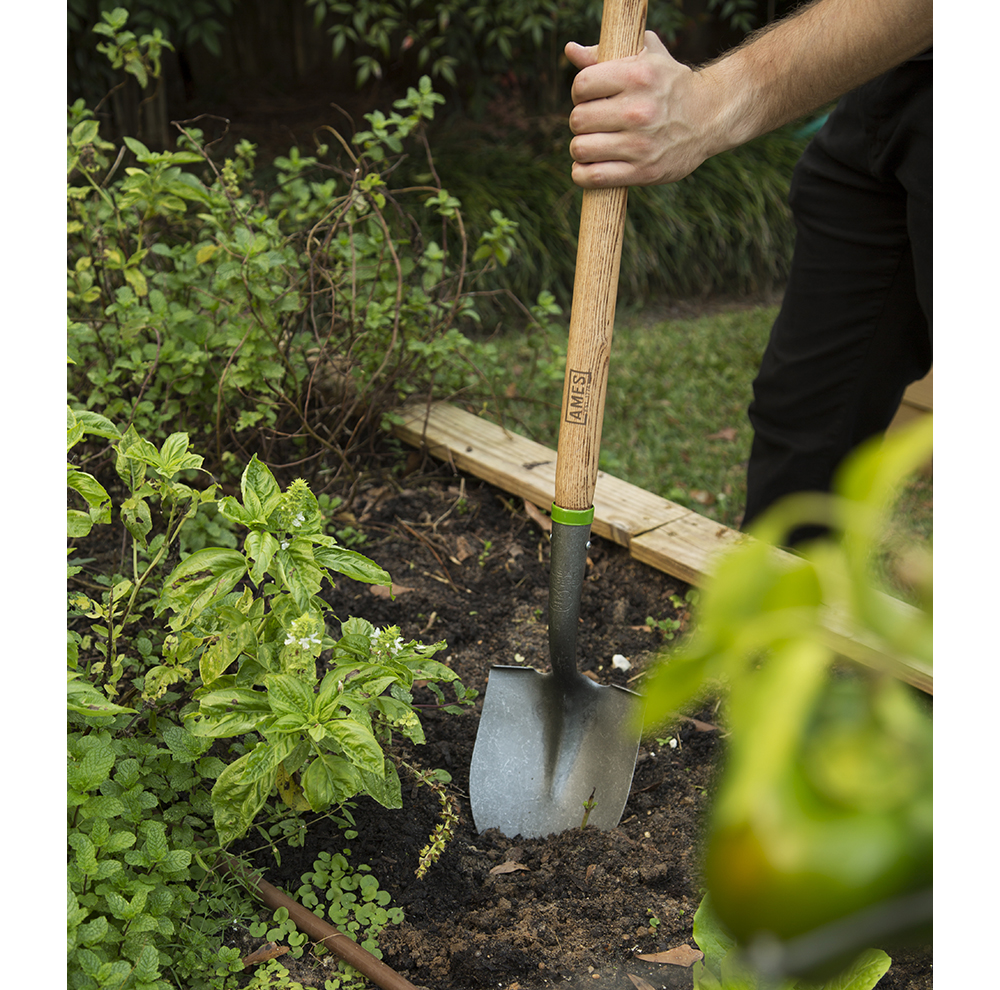 Long Handle Round Point Floral Shovel Home by AMES