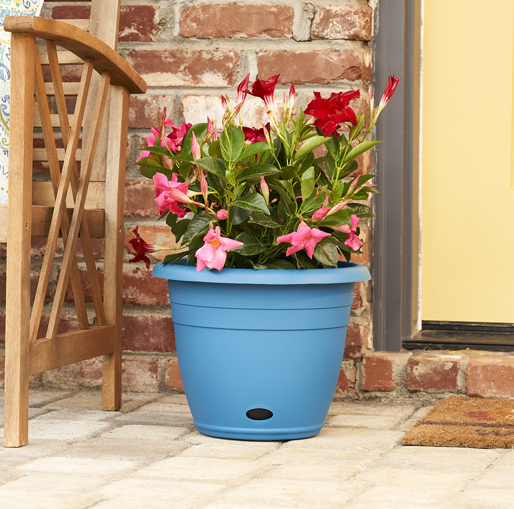 13" Jackson SelfWatering Planter Home by AMES